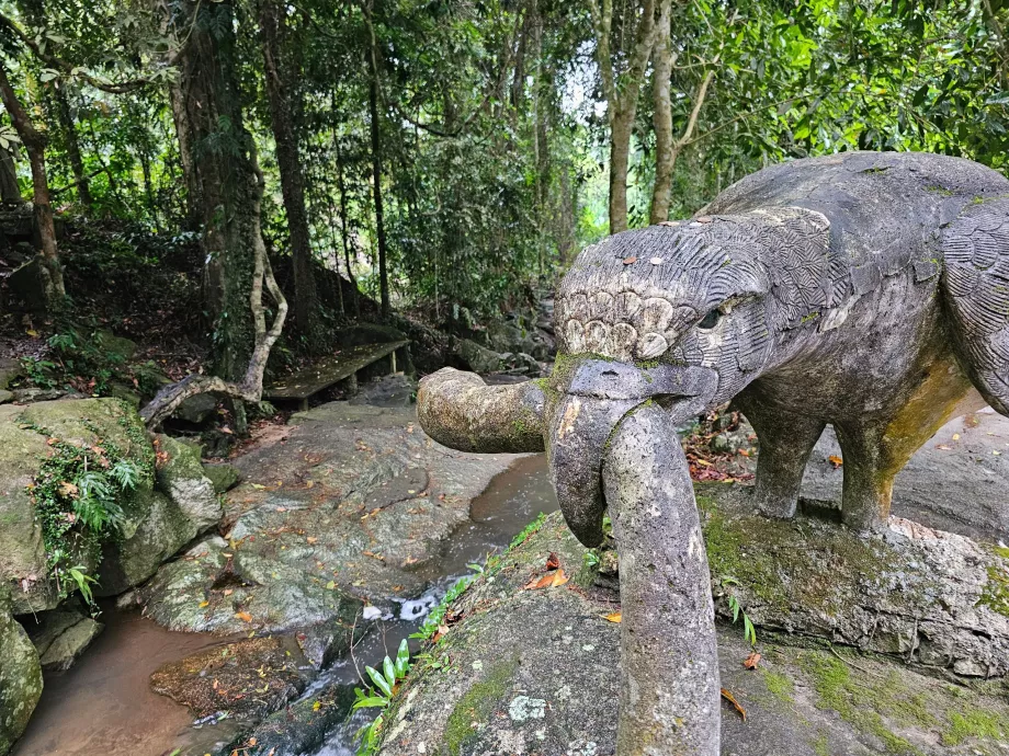 Чарівний сад Тамрін