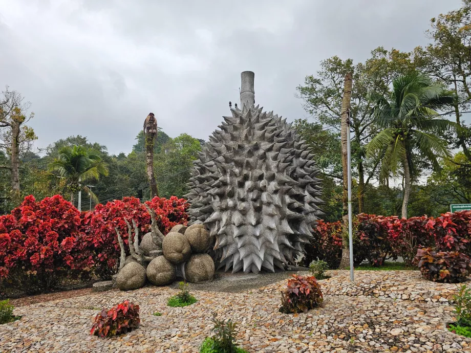 Чарівні кам'яні фрукти