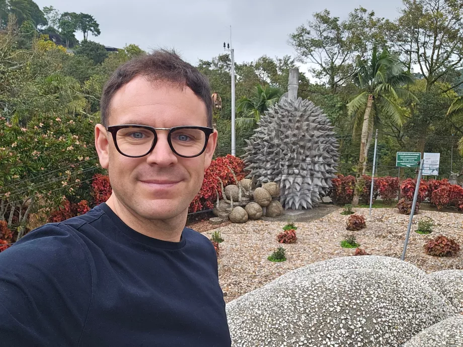 Чарівні кам'яні фрукти