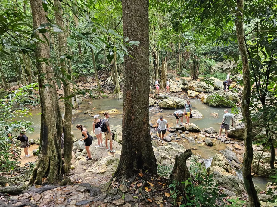 Водоспад На Муанг 1