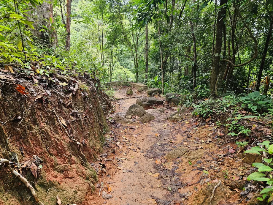 Дорога до водоспаду Намуанг 2