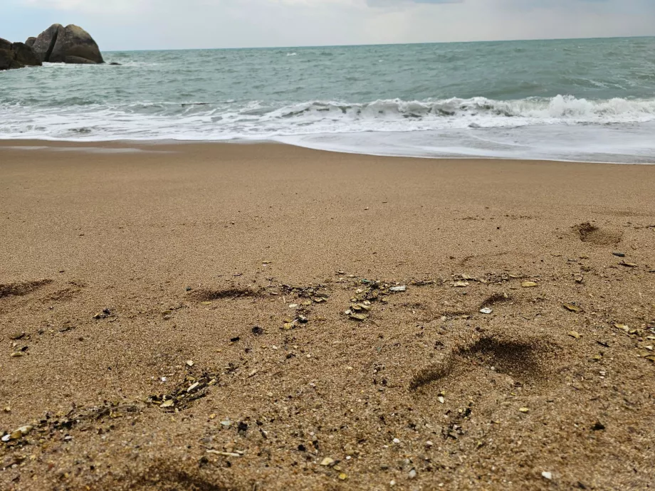 Пляж Корал Коув, якість піску