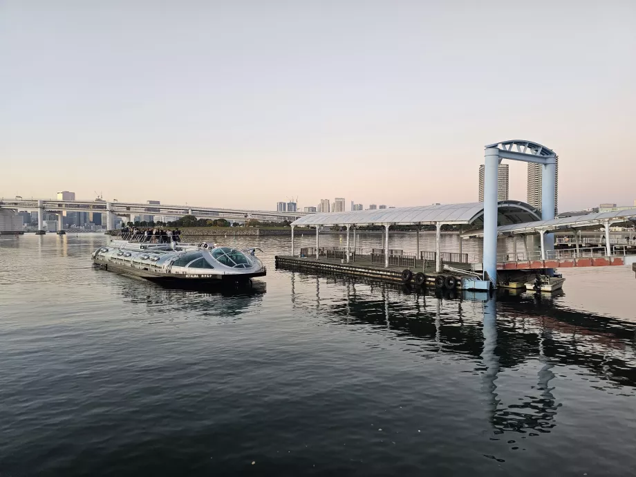 Токійські пороми