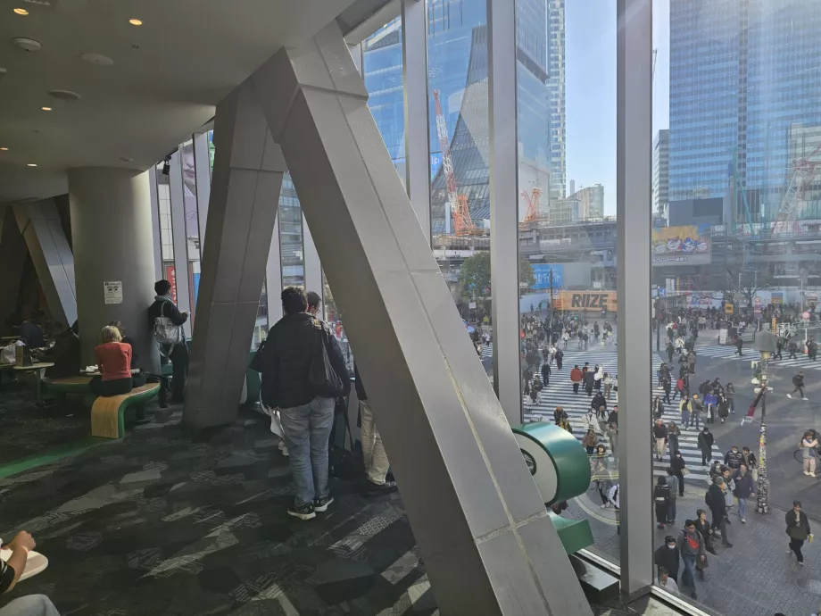 Вид зі Starbucks