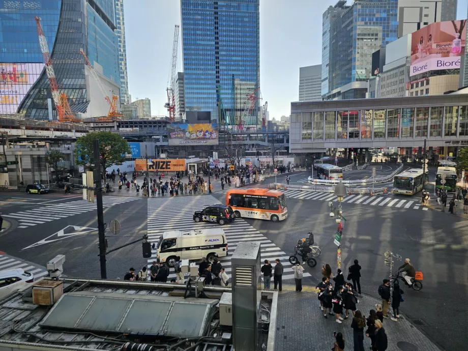 Shibuya Junction від Starbucks