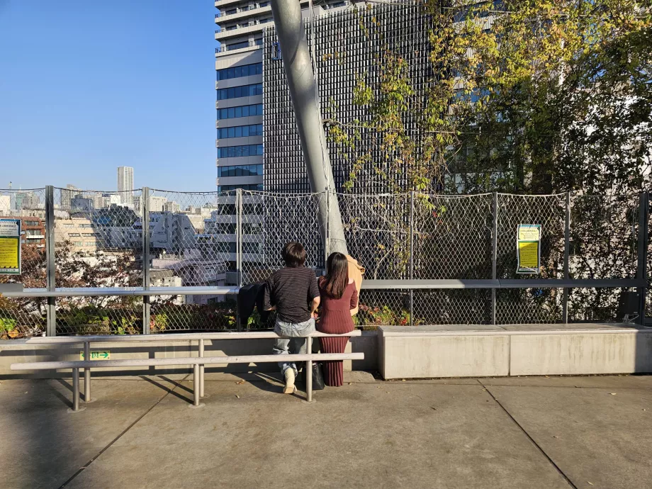 Парк Міясіта