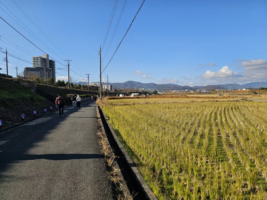 Прогулянка від станції до човна