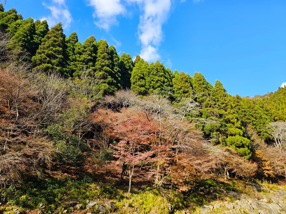 Катання на човнах