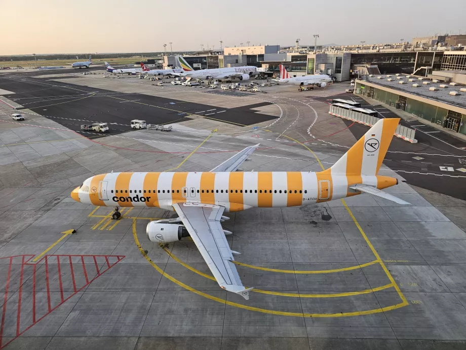 Жовтий Airbus A320 в аеропорту Франкфурта