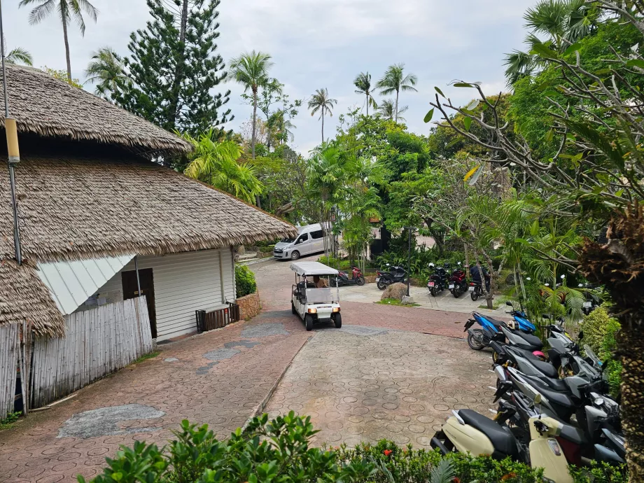 Парковка для скутерів