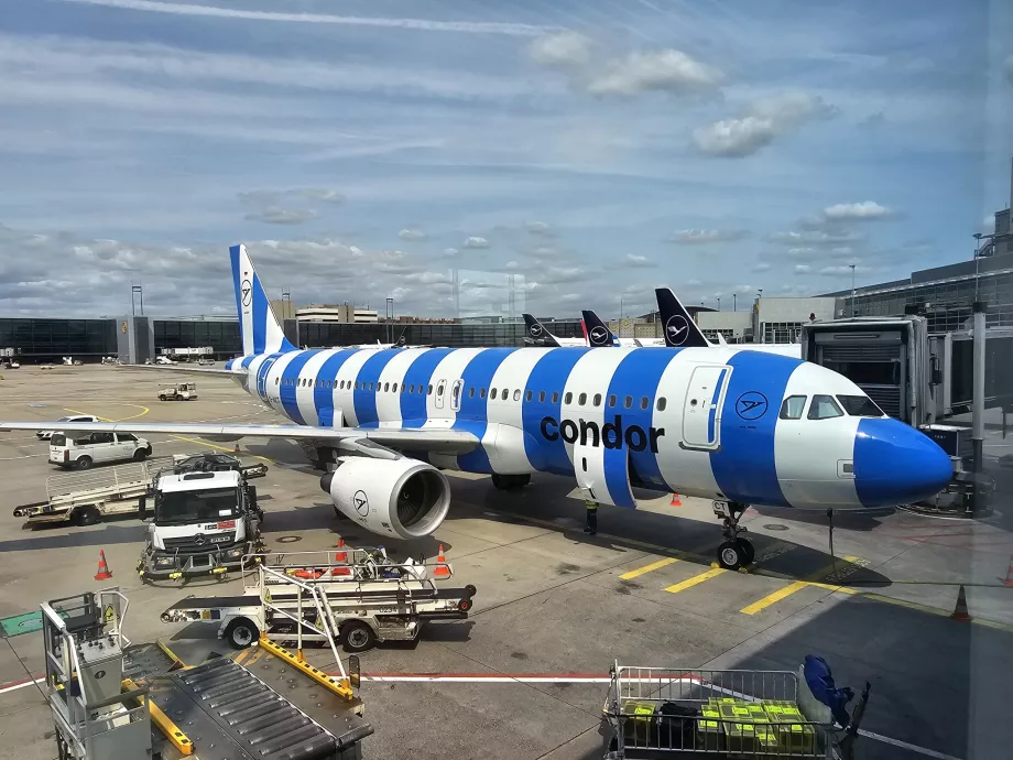 Блакитний Airbus A320 Condor