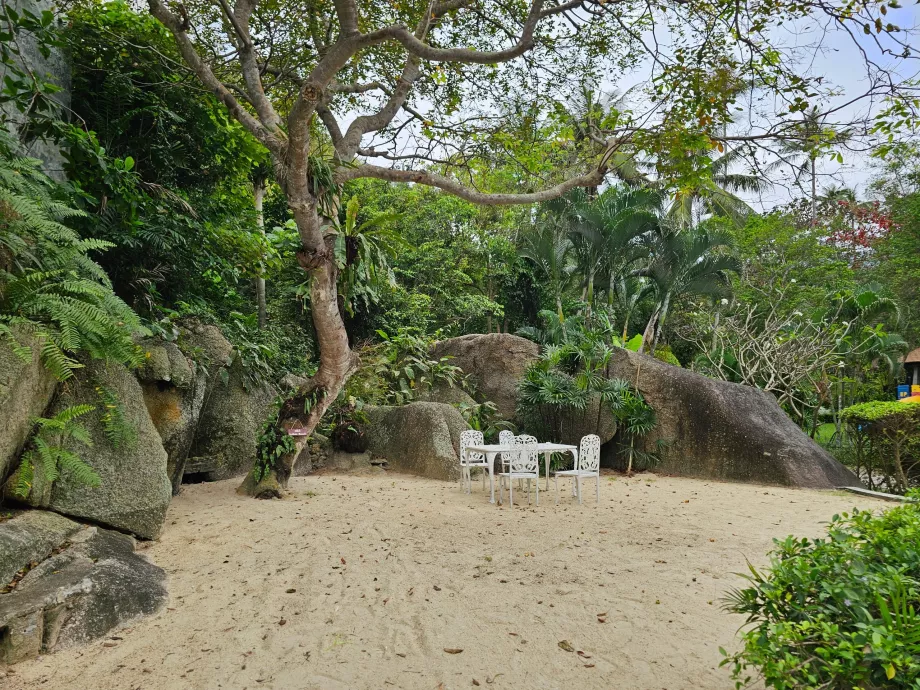 Сидячи в саду