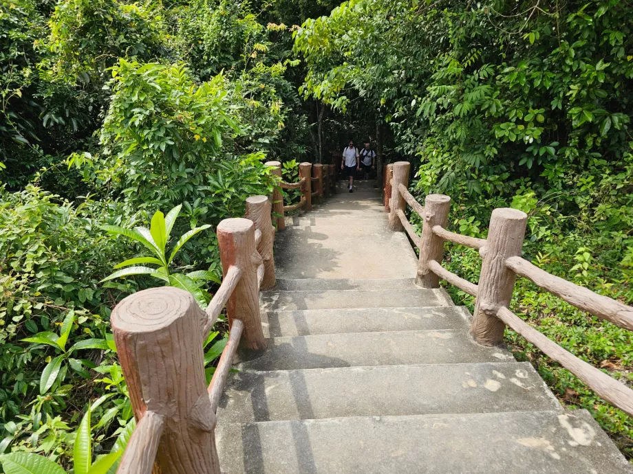 НП Намток Тан Садет