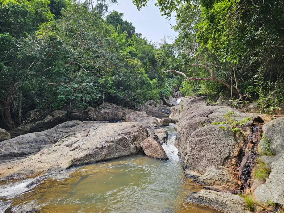 НП Намток Тан Садет