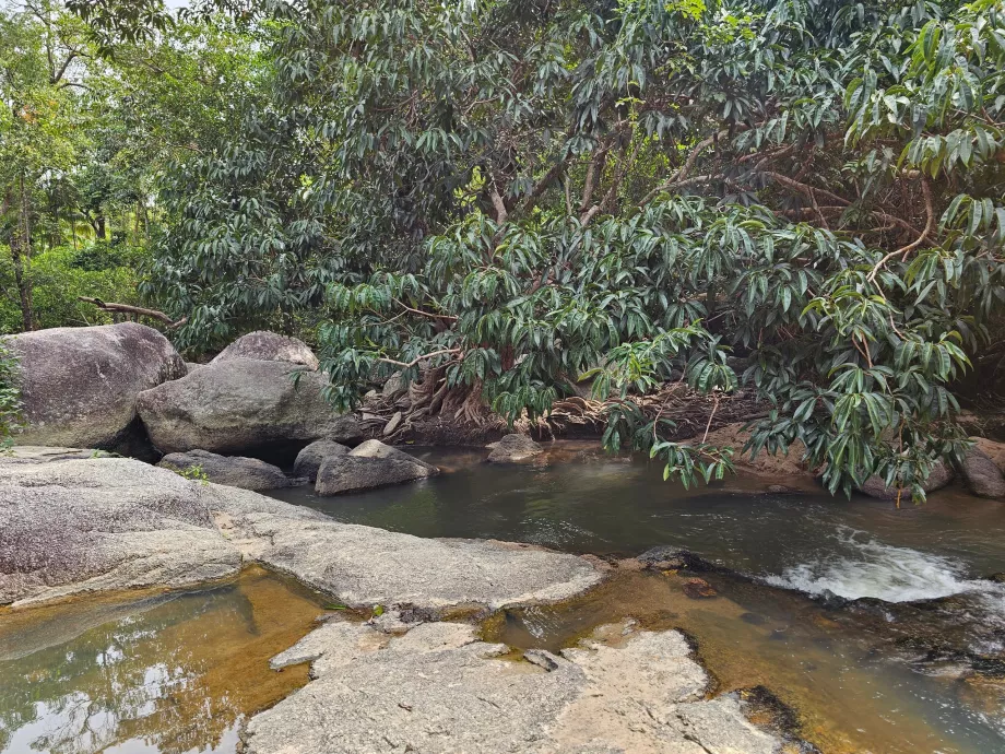 НП Намток Тан Садет