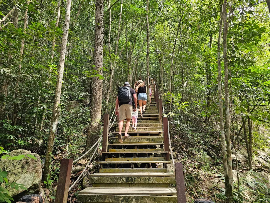 Дорога до водоспадів