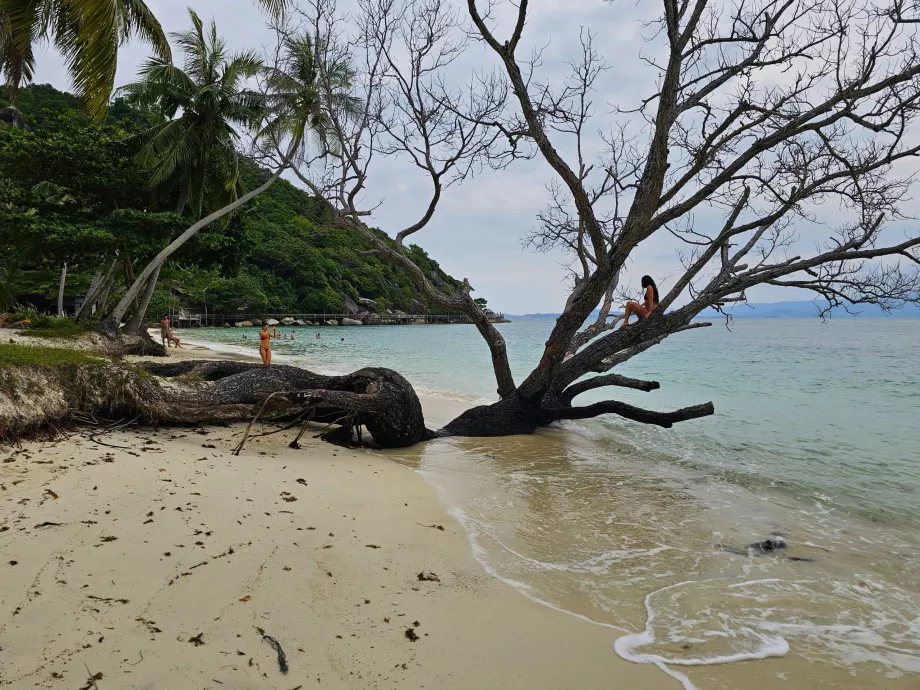 Пляж Рін Най