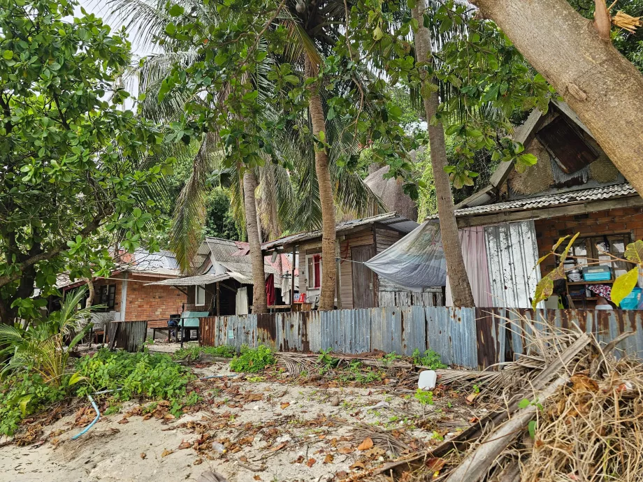 Пляж Рін Най, прибережні нетрі