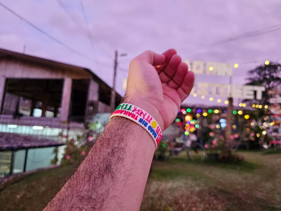 Вечірка повного місяця