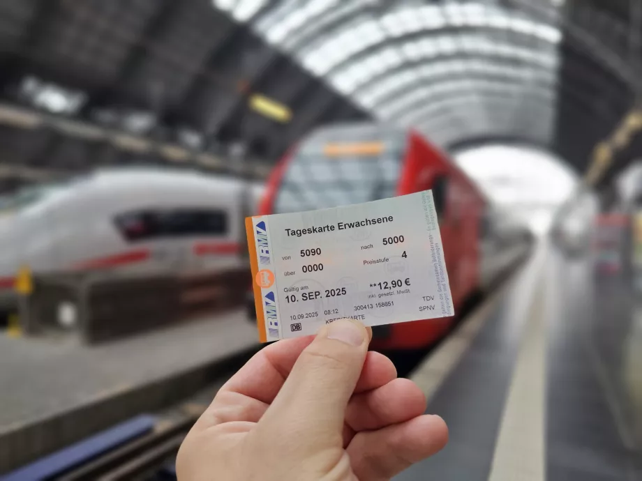 Денний квиток