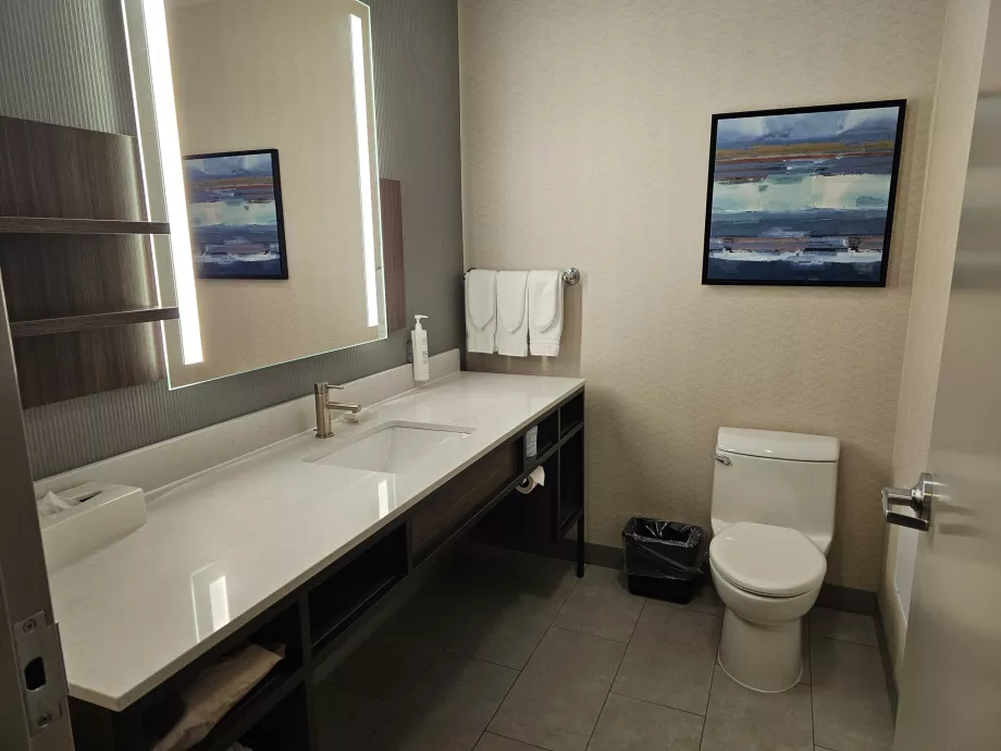 Hilton Garden Inn, ванна кімната