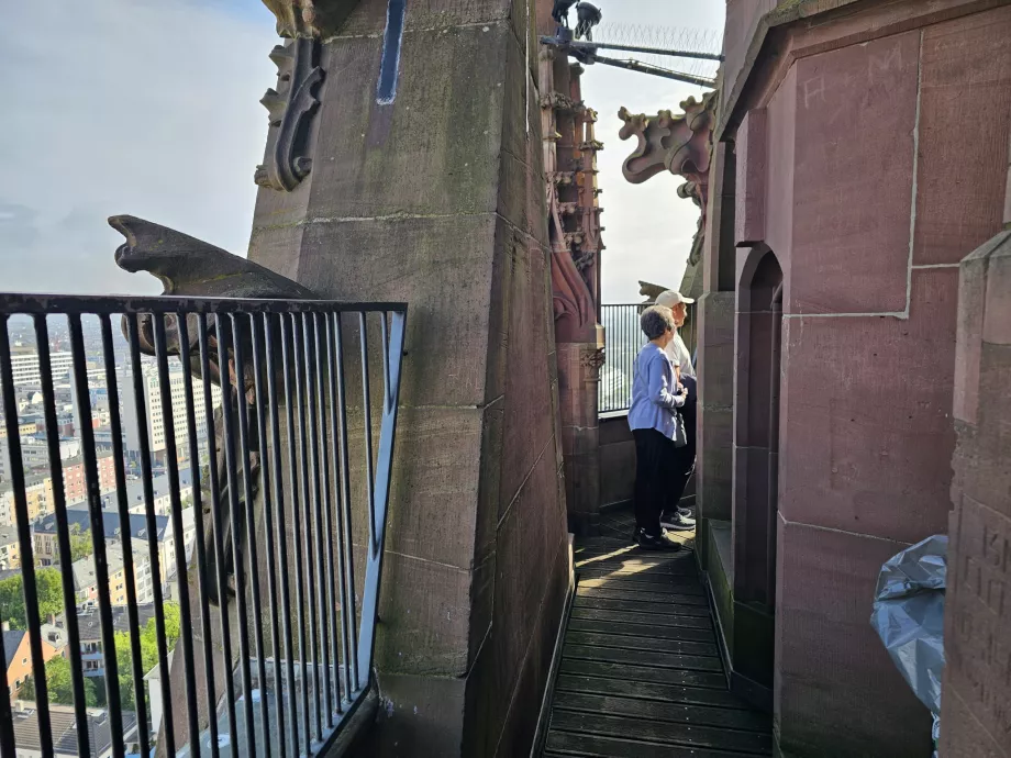 Вид з Домтурму