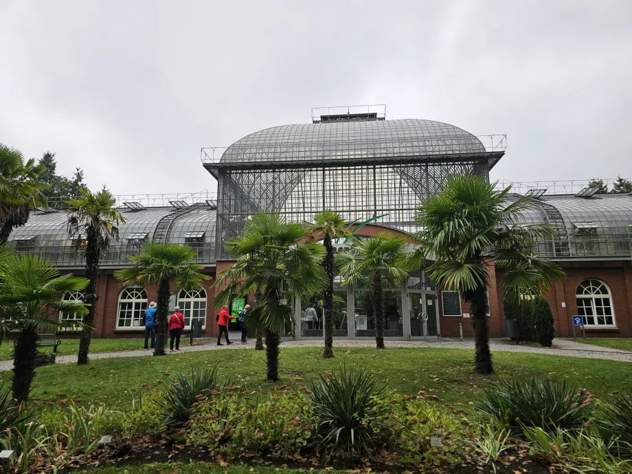 Пальменгартен