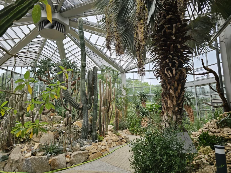 Пальменгартен