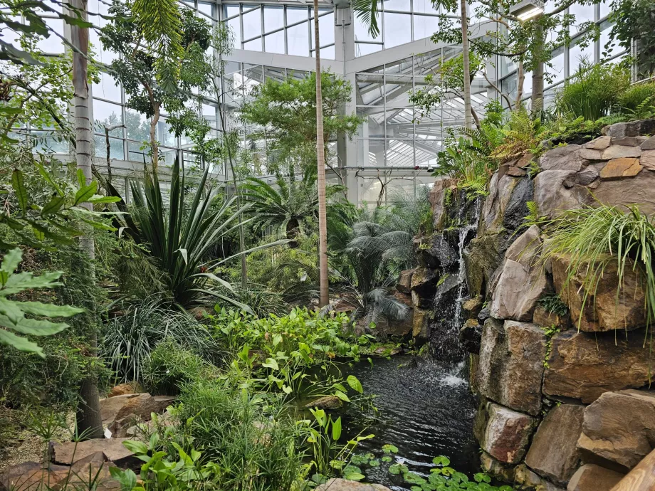 Пальменгартен