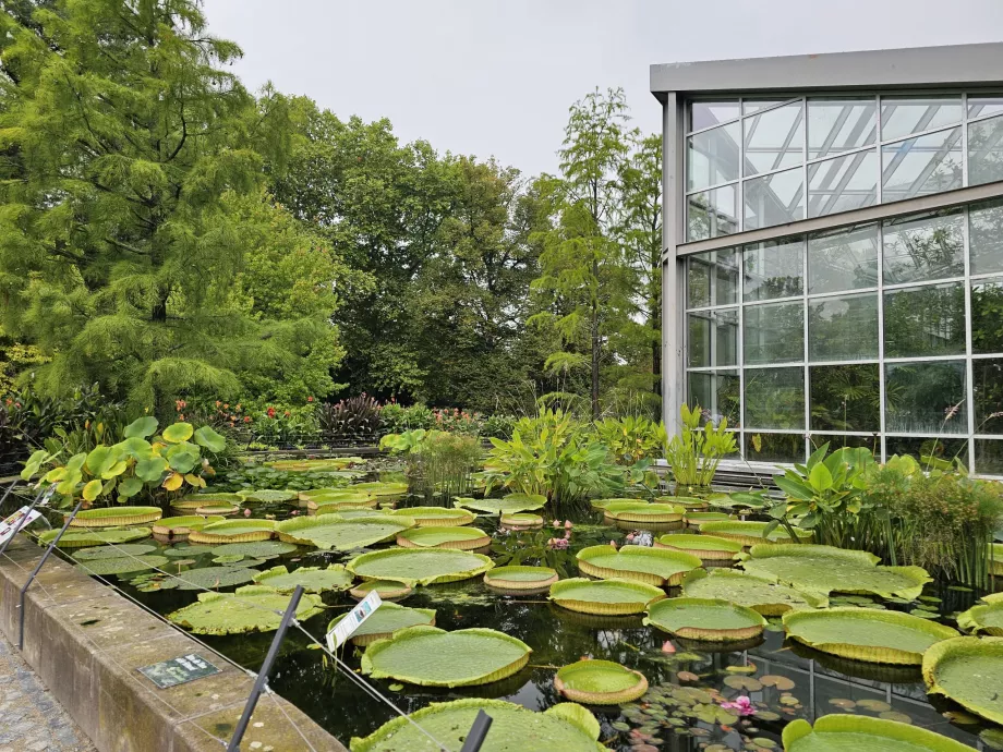 Пальменгартен