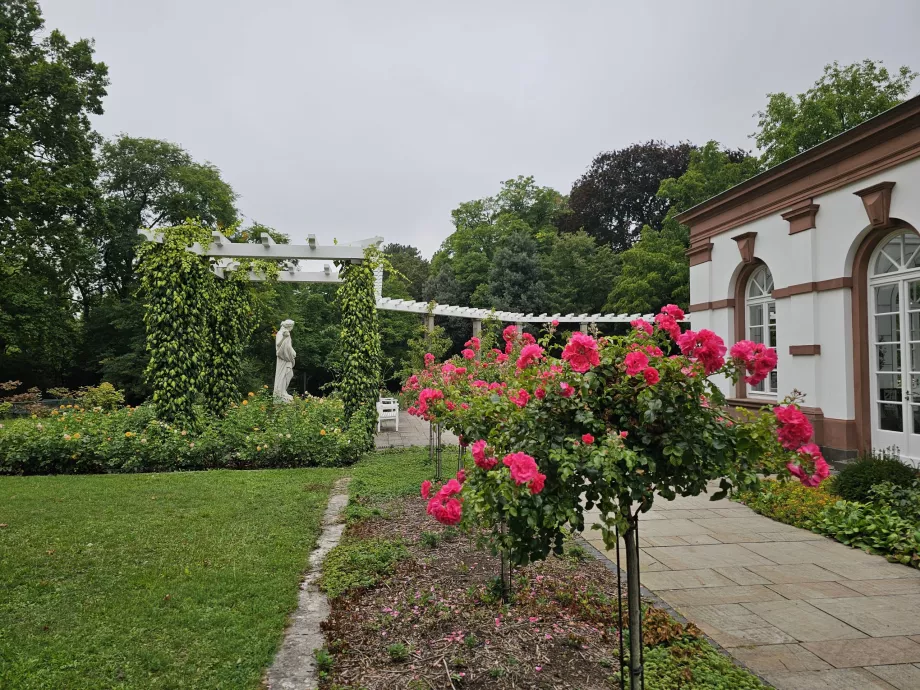 Пальменгартен