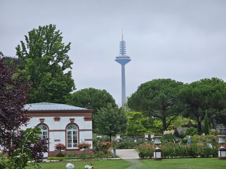 Пальменгартен