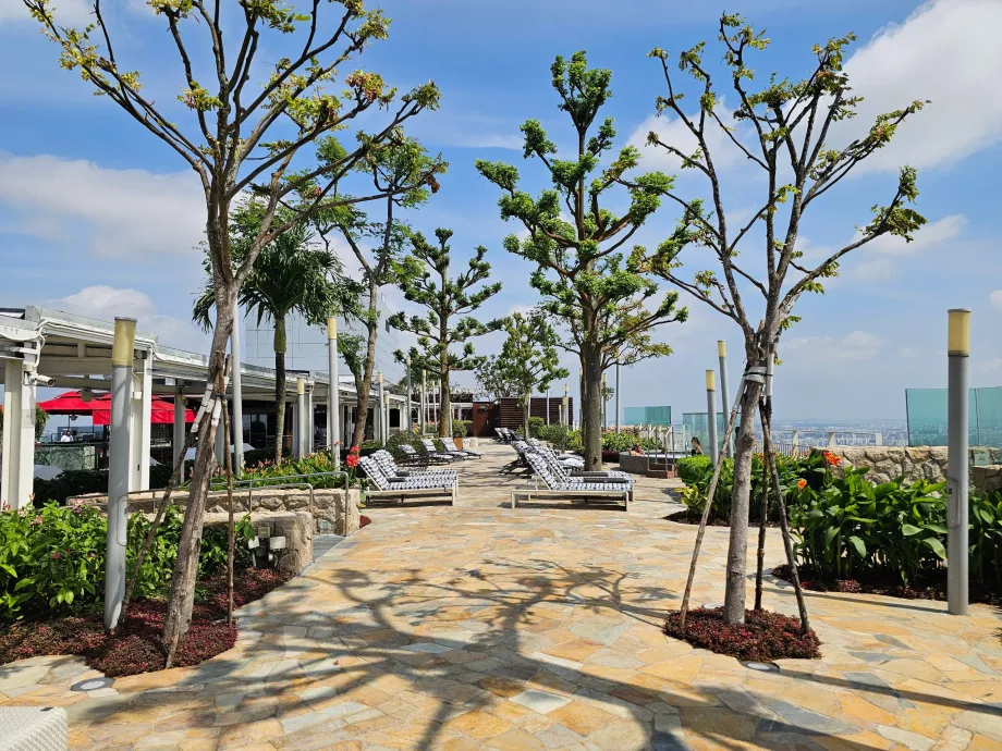 Шезлонги на терасі на даху готелю MBS