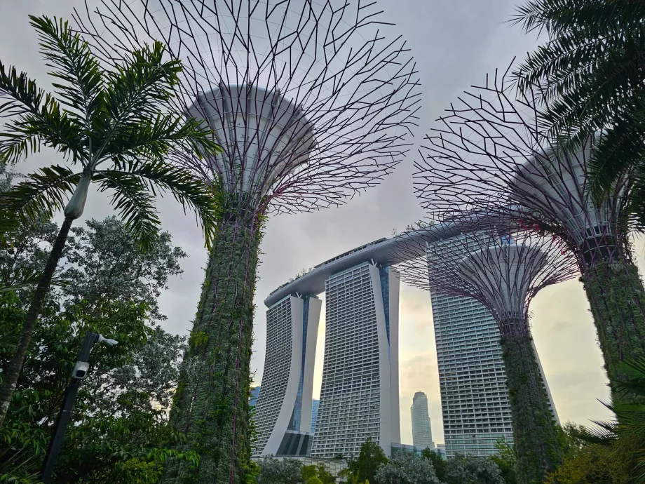 Будівля Marina Bay Sands, як видно з Gardens by the Bay