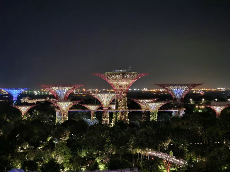 Нічний вид з номера