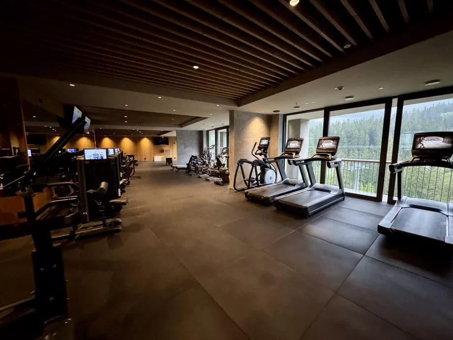 Фітнес-центр Swissotel Damian Jasna