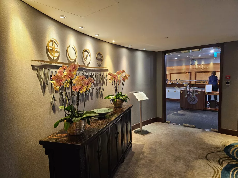 Спа-центр Willow Stream