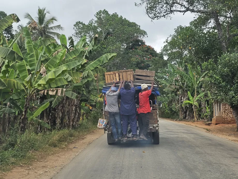 Старий автобус, який вона подарувала.