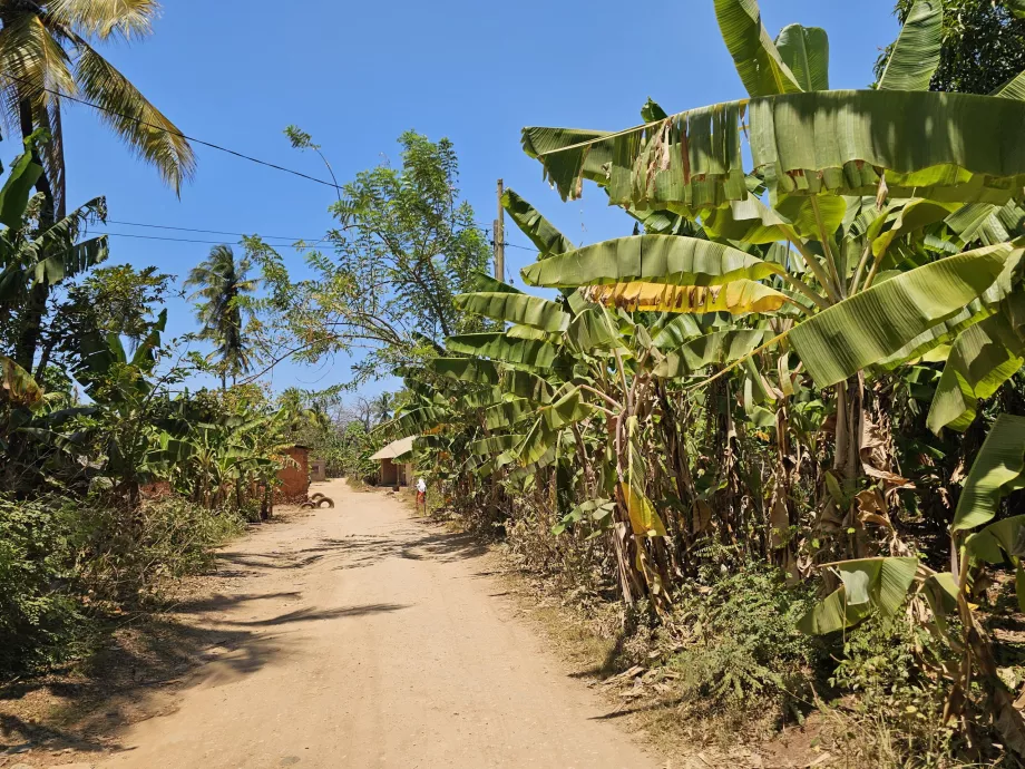 Бічна ґрунтова дорога до пляжу Мтенде