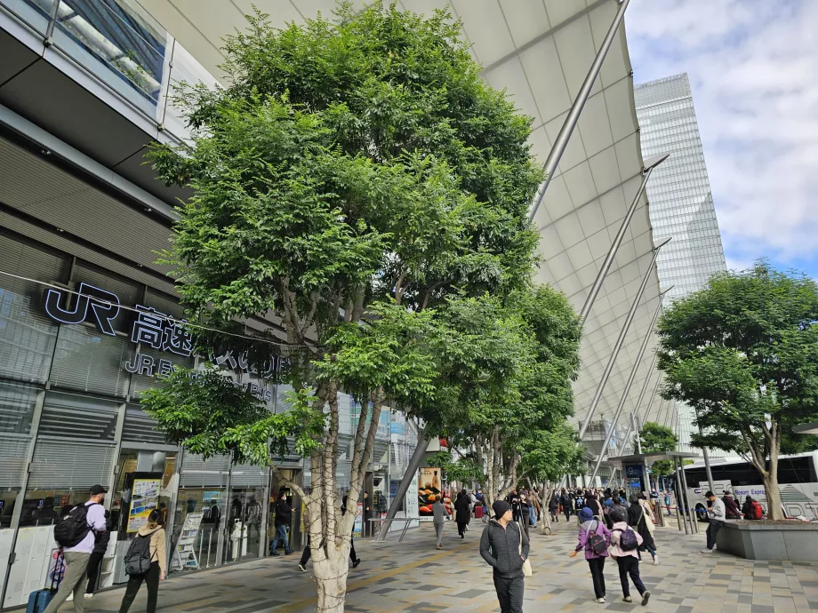 Центральний автовокзал Токіо