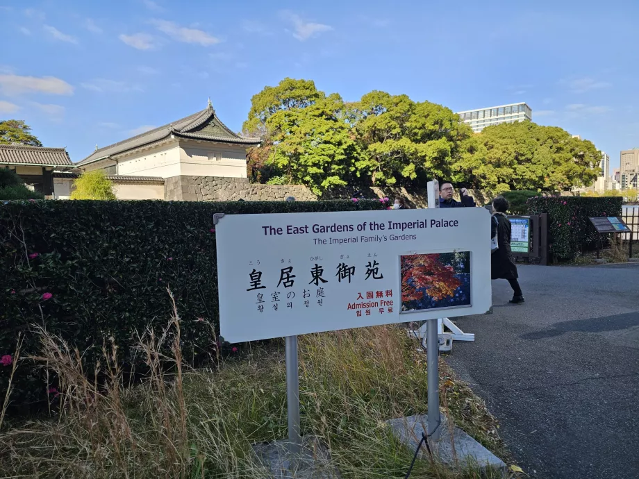 Східний сад