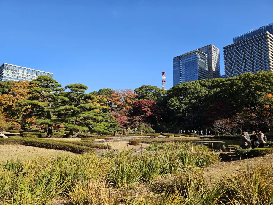 Східний сад