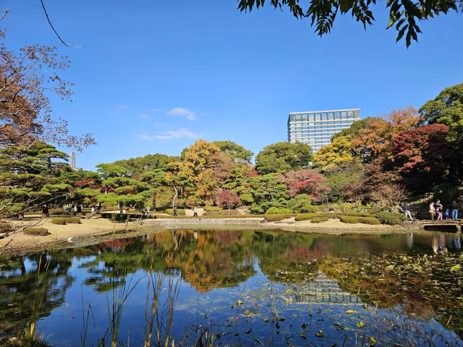 Східний сад