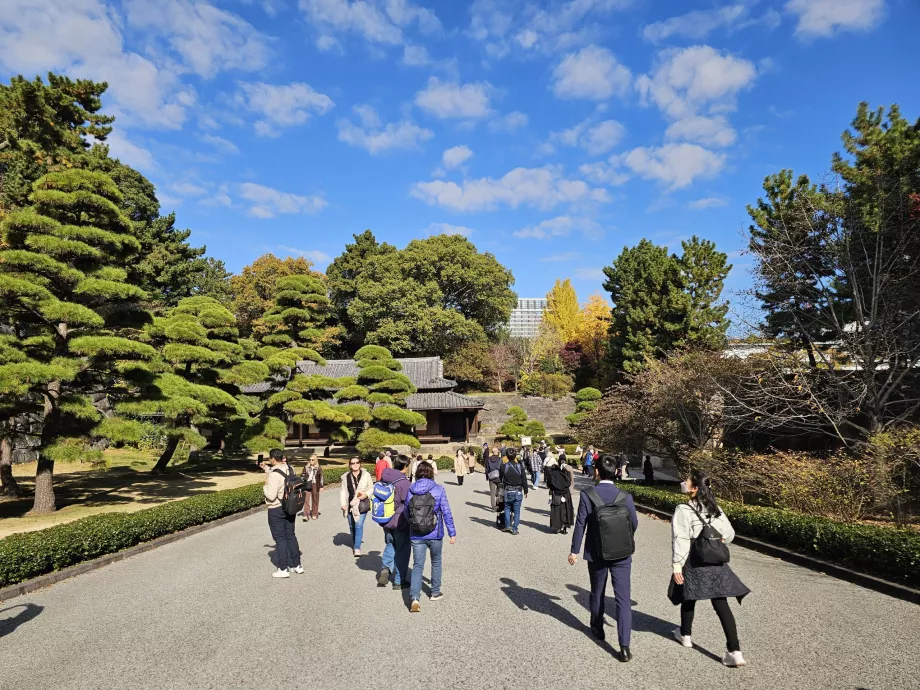 Східний сад