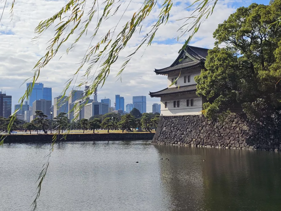 Східний сад