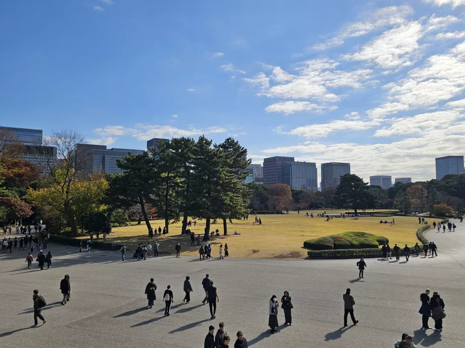 Східний сад