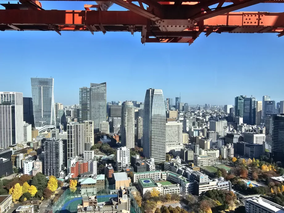 Вид з верхнього поверху