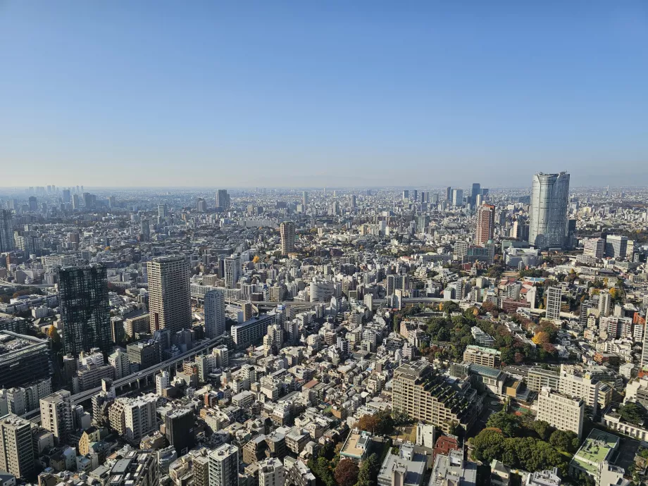 Вид з верхнього поверху