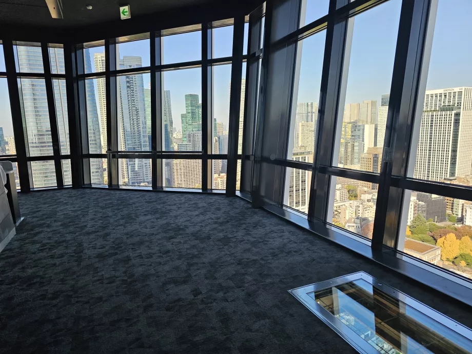 Головний оглядовий майданчик