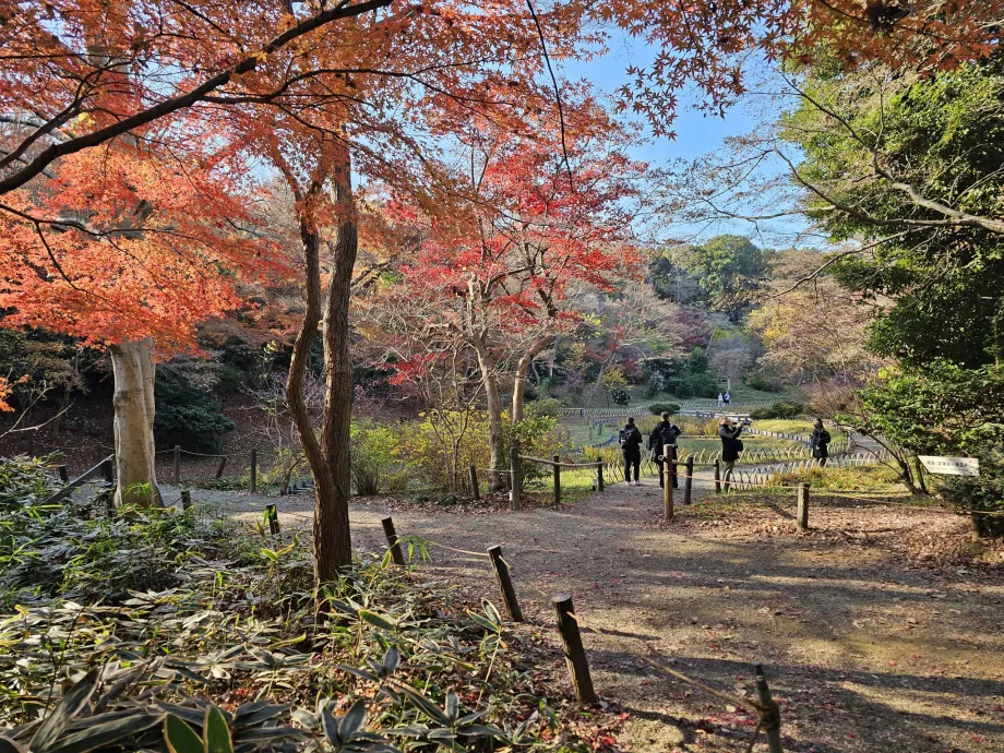 Свердловина Кійомаса